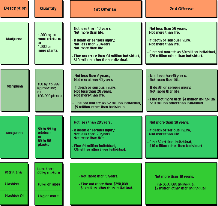 Federal Drug Charges Chart